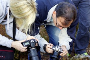 collectif image photo groupe