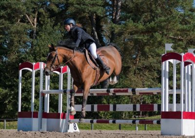 Amazing Show Jumping Collectif Image