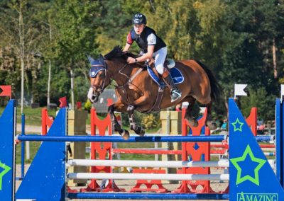 Amazing Show Jumping Collectif Image