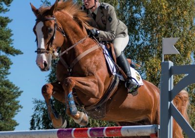 Amazing Show Jumping Collectif Image