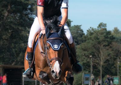 Amazing Show Jumping Collectif Image